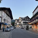 Alpina Haus Διαμέρισμα *