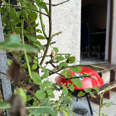 Alpina Haus Apartamento